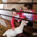Natalie Ostach, 5 and her sister Norah, 3, both of Livonia, pet a baby goat at Dominos Petting Farm on Monday, July 1, 2013. Melanie Maxwell | AnnArbor.com